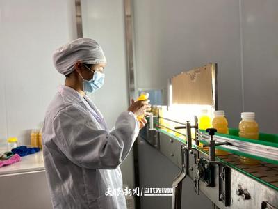 六盤水 產業轉型蹄疾步穩，獼猴桃變身“致富果”